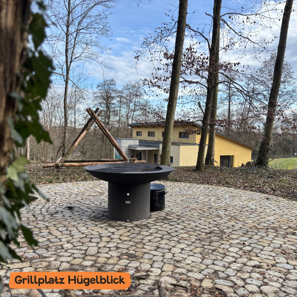 Das Bild zeigt einen Grillplatz mit einem modernen Grill auf einem gepflasterten Platz, umgeben von Bäumen. Im Hintergrund ist das Strohballenhaus zu sehen, das in einer bewaldeten Landschaft liegt.